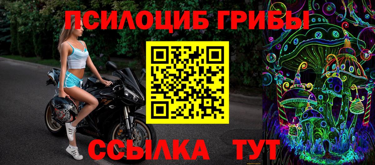 Псилоцибиновые грибы Cubensis  Вход с VPN  Гай  Псилоцибиновые грибы Psilocybine cubensis 